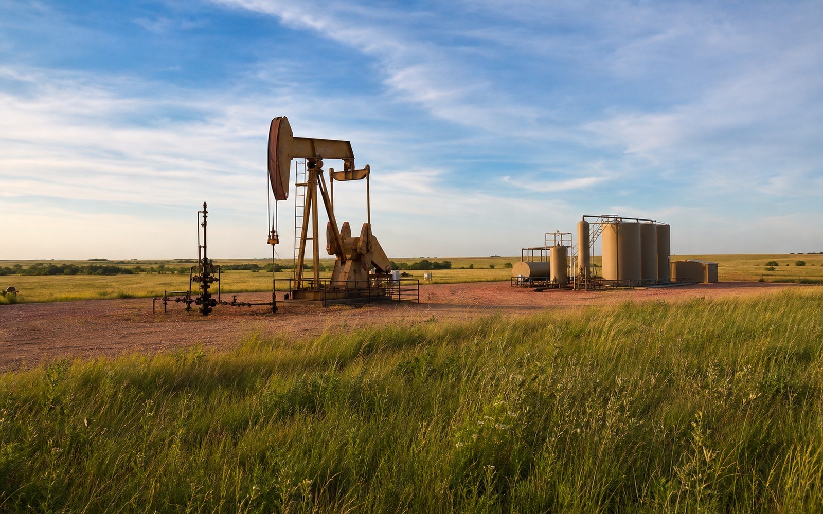 Texas mineral ownership review